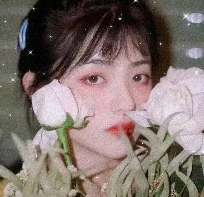 最后的维京人
